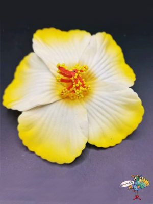 7983 #image_title
