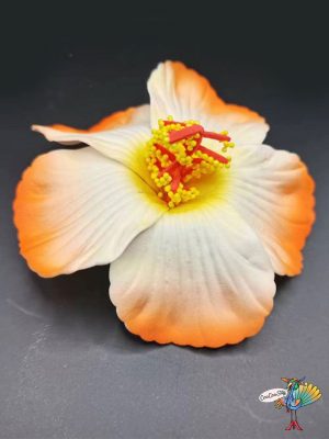 7986 #image_title