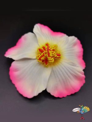 7987 #image_title